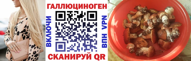 Псилоцибиновые грибы прущие грибы  маркетплейс официальный сайт  Алзамай 